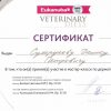 Сертификат дерматология 2013