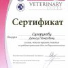 Сертификат дерматология 2012