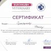 Сертификат дерматология 2014