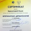 Сертификат дерматология