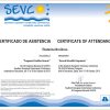 Сертификат SEVC 2013